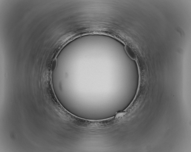 X0000112731169200908201007