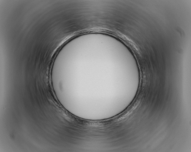X0000112731170200908201007