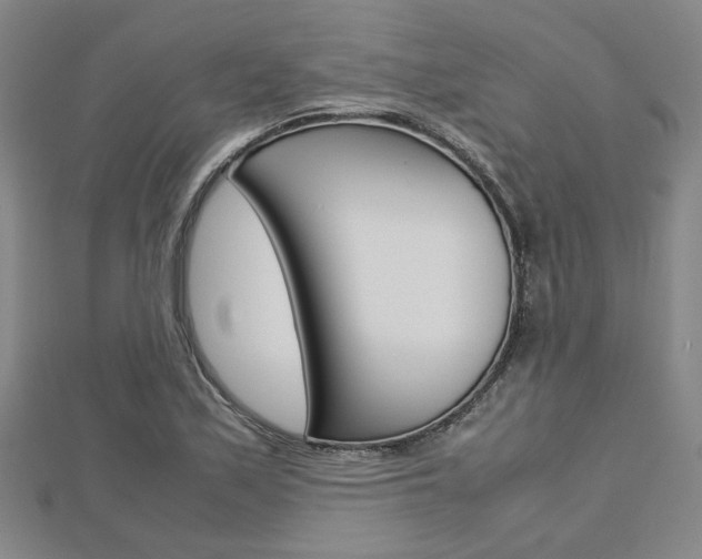 X0000112731171200908201007