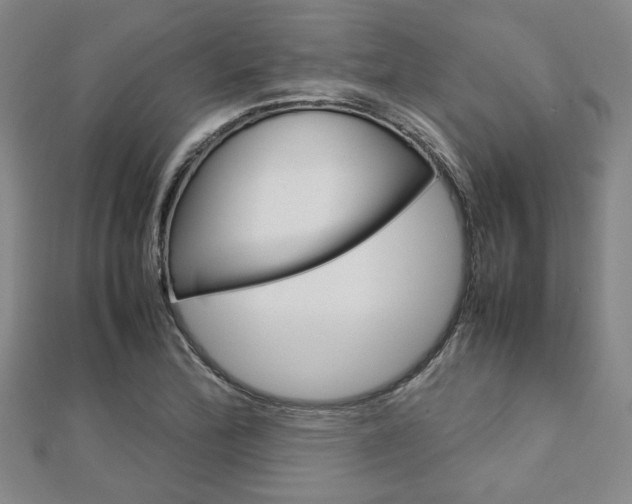 X0000112731172200908201006