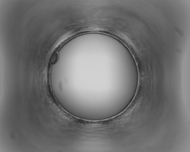 X0000112731173200908201006