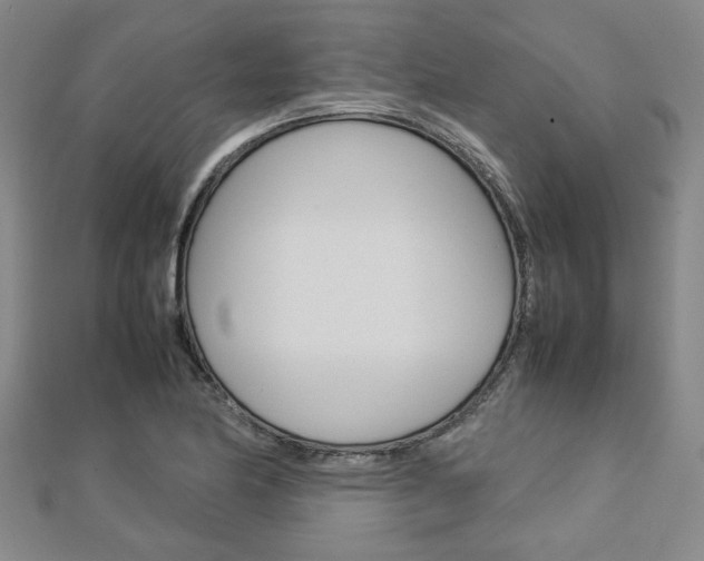 X0000112731174200908201006