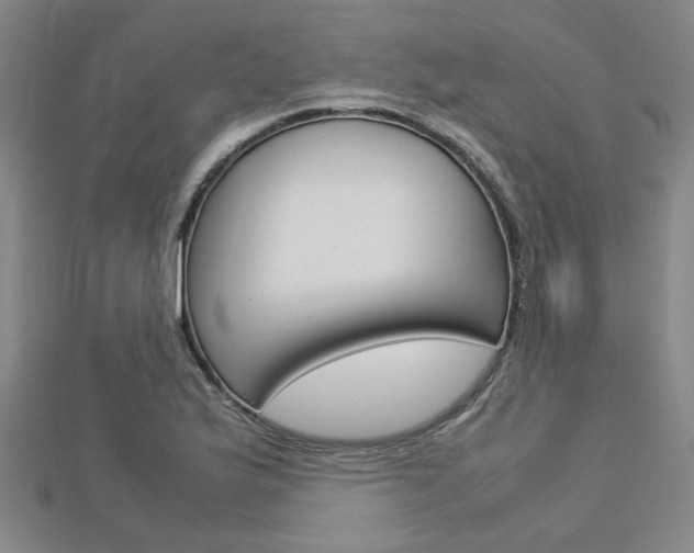 X0000112731175200908201006