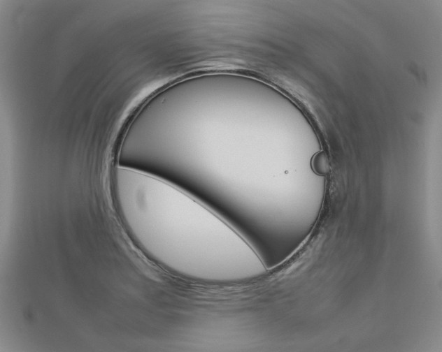 X0000112731179200908201006