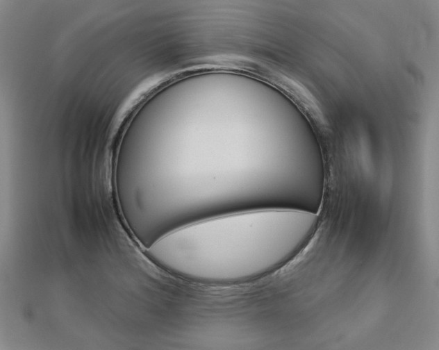 X0000112731180200908201006
