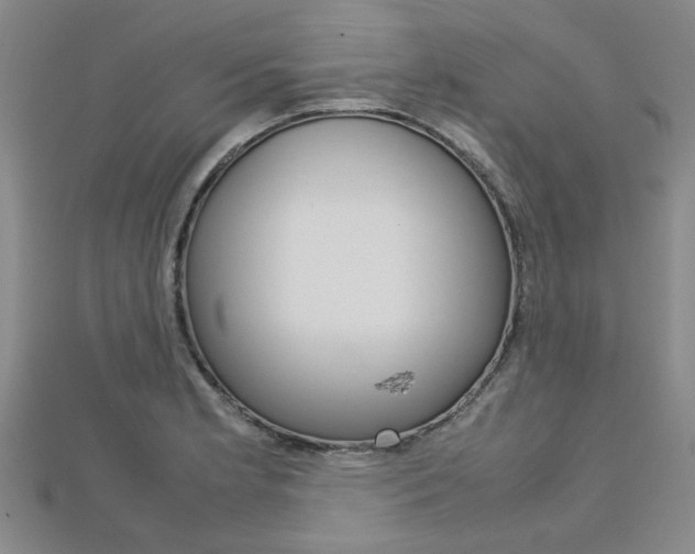 X0000112731181200908201006