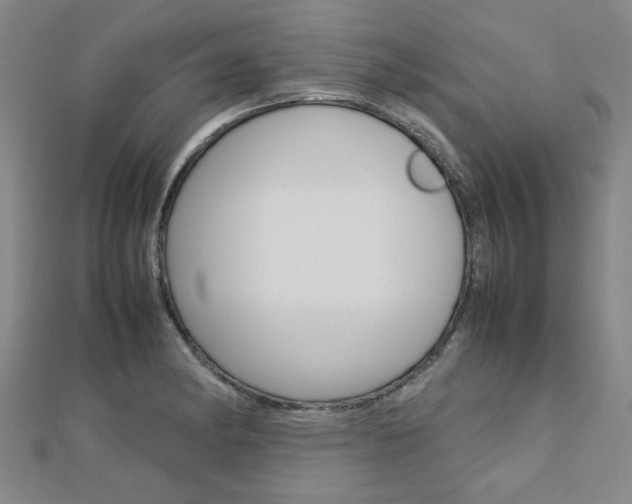 X0000112731182200908201006