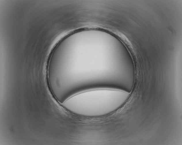 X0000112731183200908201006