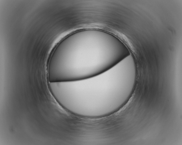 X0000112731184200908201006