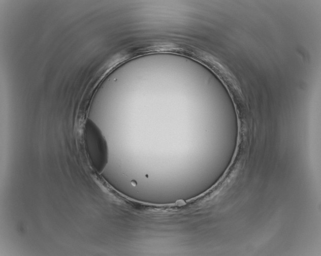 X0000112731185200908201006