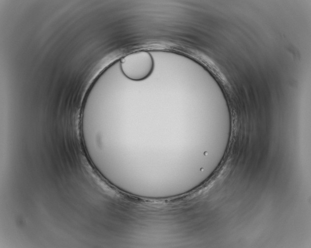 X0000112731186200908201006