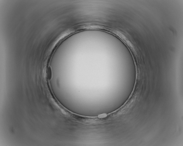 X0000112731189200908201006