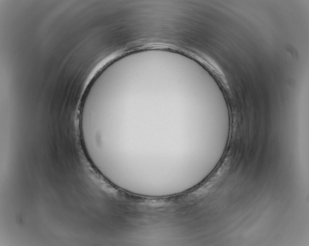 X0000112731190200908201006