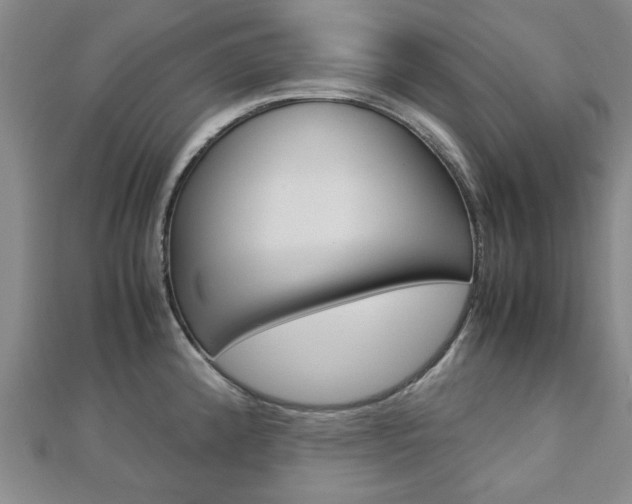 X0000112731192200908201006