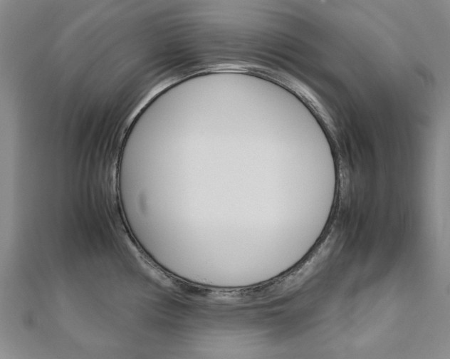 X0000112731194200908201006