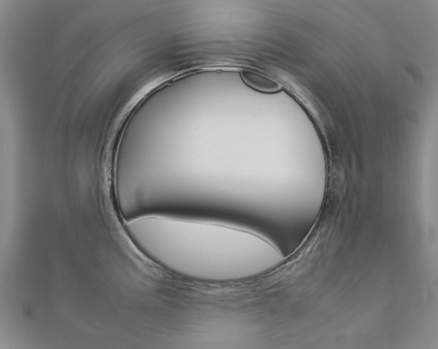 X0000112731195200908201006