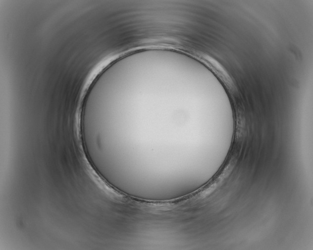 X0000112731196200908201006