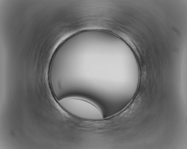X0000112731197200908201006