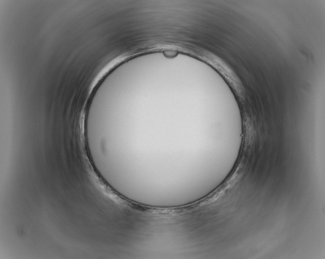 X0000112731198200908201006