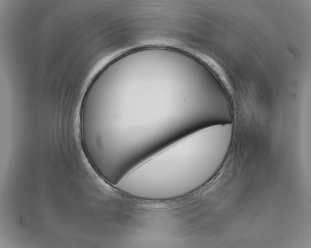X0000112731199200908201006
