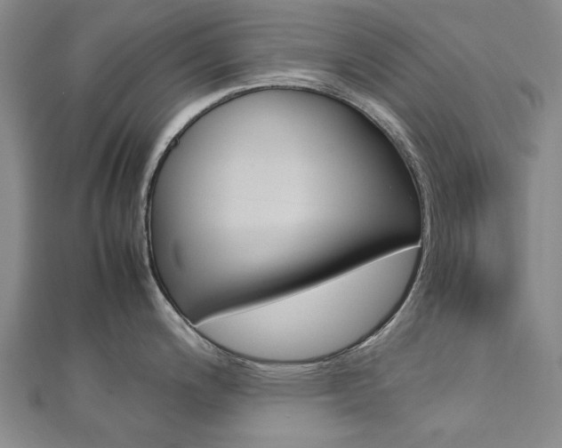 X0000112731200200908201006