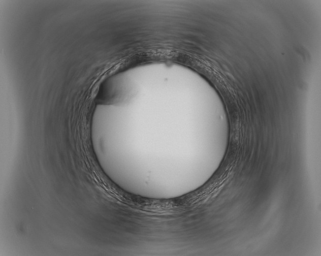 X0000112731201200908201006