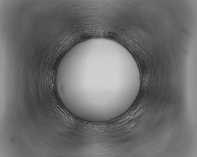 X0000112731202200908201006