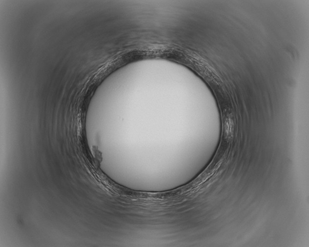 X0000112731204200908201006
