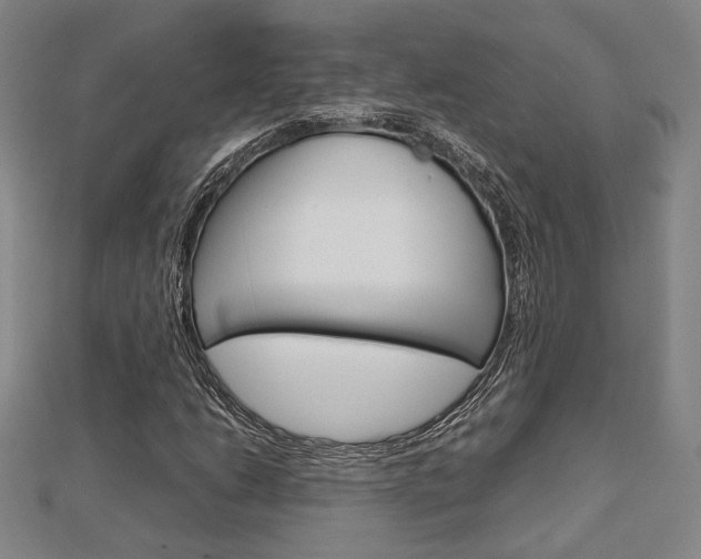 X0000112731206200908201006