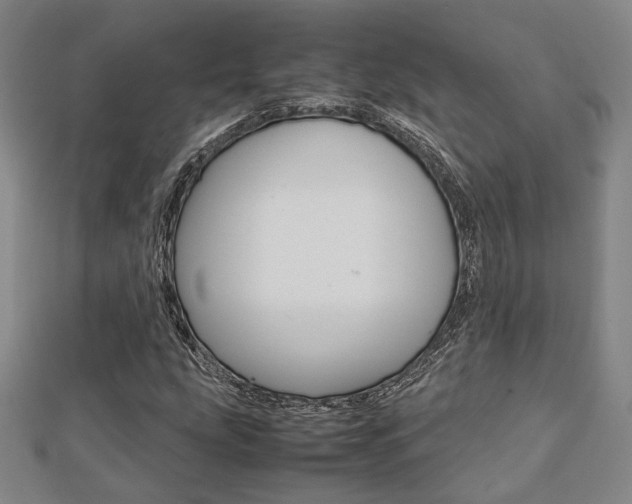 X0000112731207200908201006