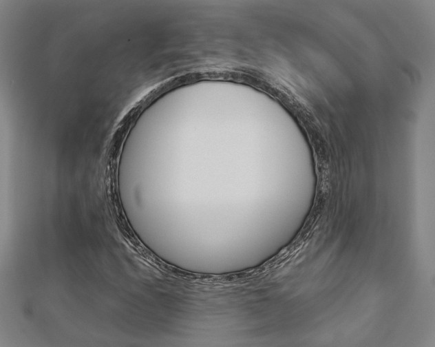 X0000112731208200908201006
