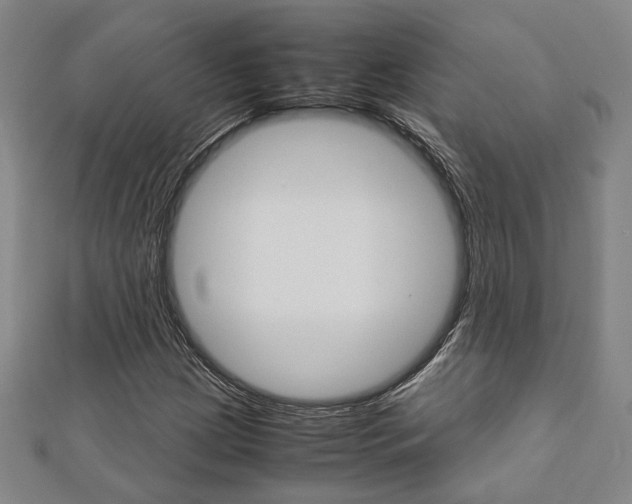 X0000112731209200908201006