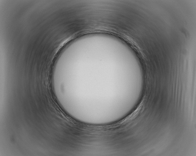 X0000112731210200908201006