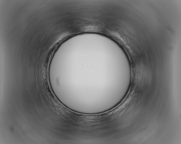 X0000112731211200908201006