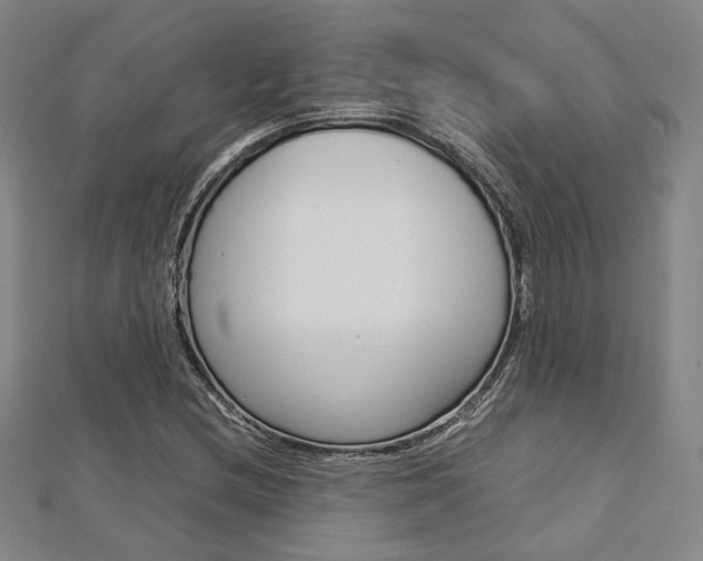 X0000112731212200908201006