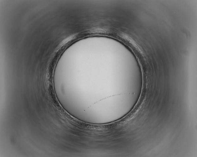 X0000112731213200908201006