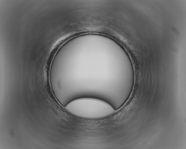X0000112731214200908201006