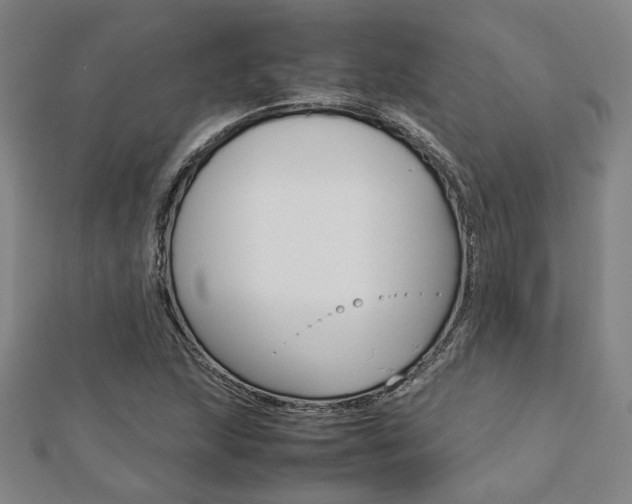X0000112731215200908201006