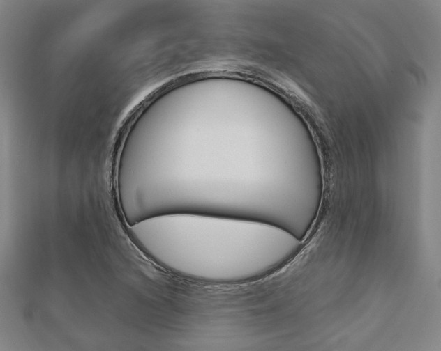 X0000112731216200908201006