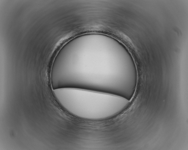 X0000112731218200908201006