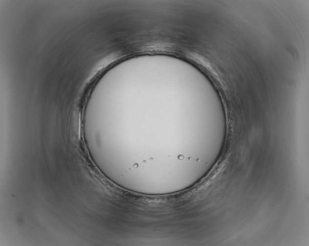 X0000112731219200908201006