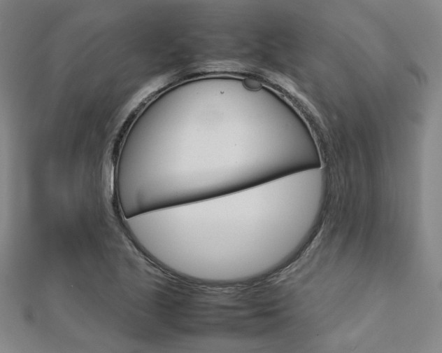 X0000112731221200908201006