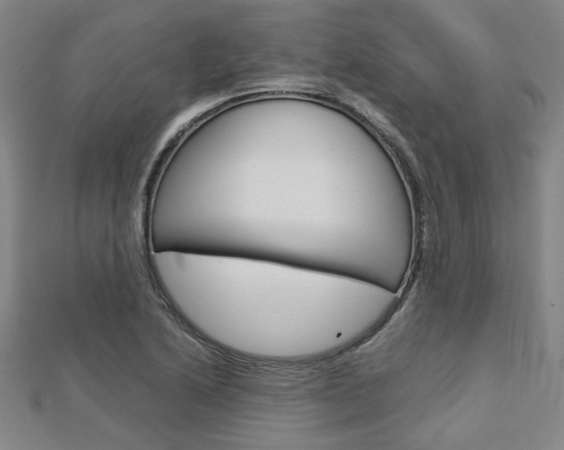 X0000112731222200908201006