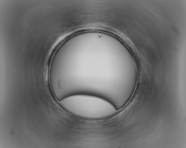 X0000112731224200908201006