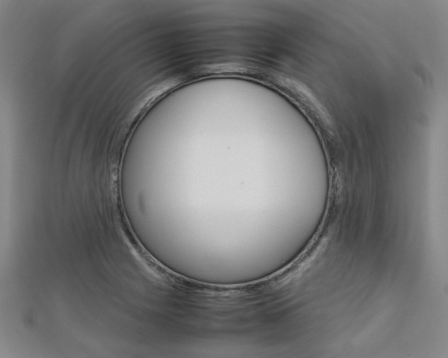 X0000112731225200908201006