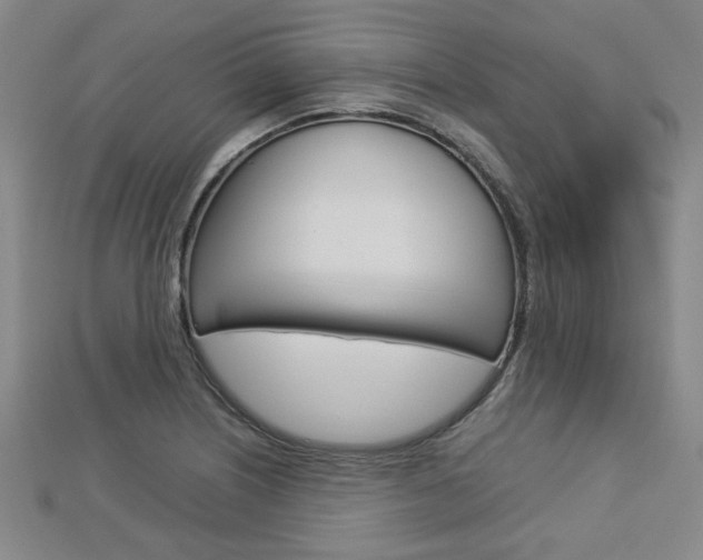 X0000112731226200908201006