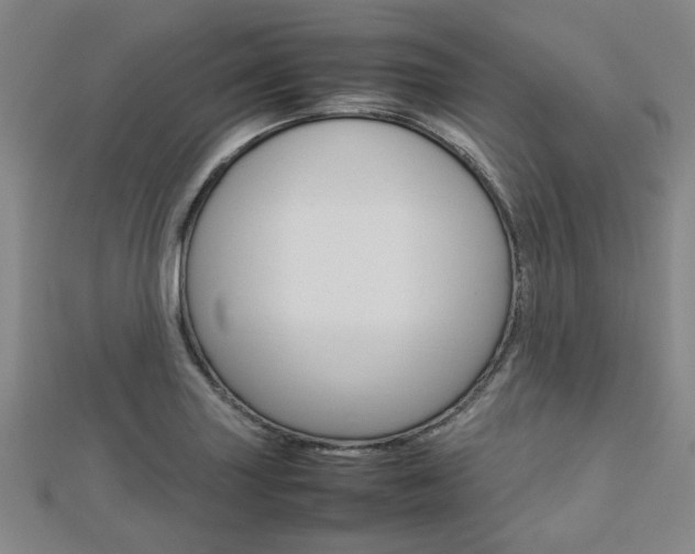 X0000112731227200908201006
