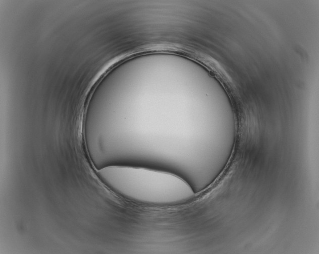X0000112731228200908201006
