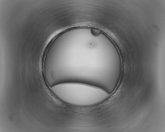 X0000112731230200908201006