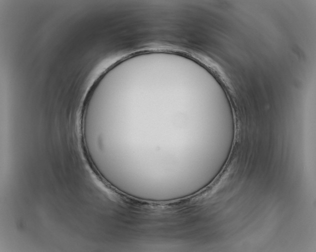 X0000112731231200908201006